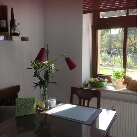 Auf Der Zschopau-insel Apartment Zschopau