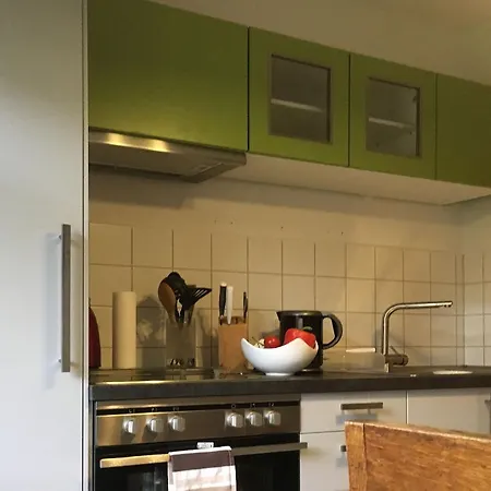 Apartment Auf Der Zschopau-insel Zschopau